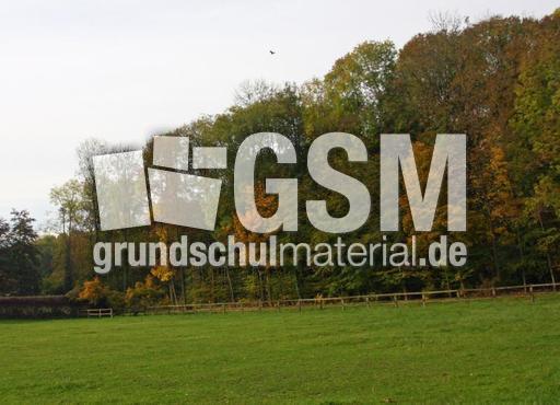 Herbststimmung-23-10-09 048.jpg